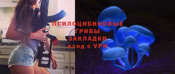 спиды Корсаков