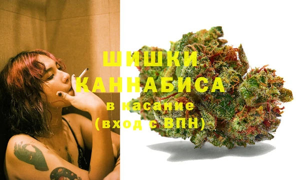 дурь Краснотурьинск