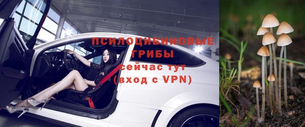 каннабис Коряжма