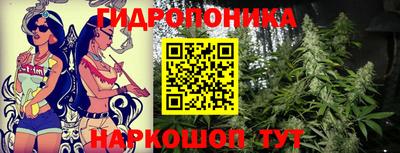 СК Жуковский