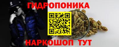 СК Жуковский