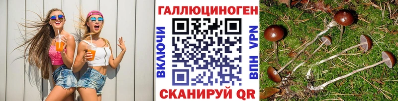 blacksprut ССЫЛКА  Топки  Галлюциногенные грибы прущие грибы 