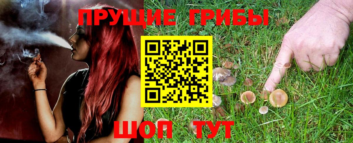 Топки  Галлюциногенные грибы GOLDEN TEACHER  Вход с VPN 